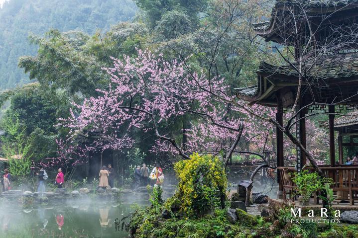 女武神：苍蓝革命